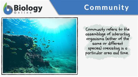 Community (biology) - Definition and Examples - Biology Online Dictionary