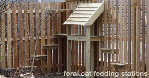 feral cat feeding stations and steps so they can get in and out of the backyard Feral Cat House ...