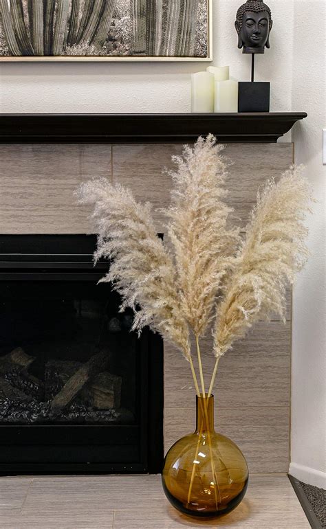 Buy Decor Geek Pampas Grass Large 3 Stems 4ft Tall Pampas Grass for Floor Vase | Pampas Grass ...