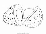 Avocado Medium Coloring Page For Kids  Free Printable sketch template