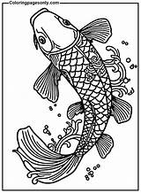 Koi Fish Coloring Pages Coloring Home sketch template