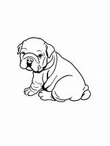 Free Printable Bulldog coloring Pages sketch template
