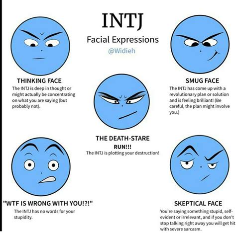 Intj faces | Intj, Intj humor, Intj personality