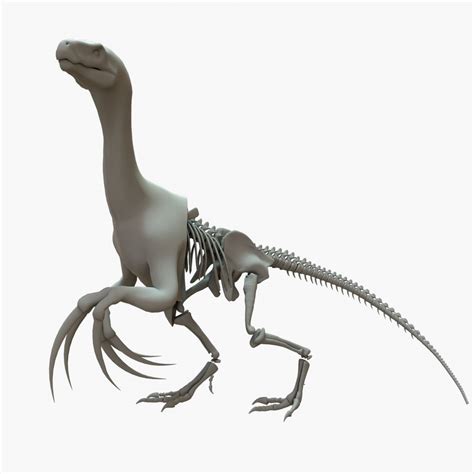 3D Therizinosaurus Rigged Basemesh Skeleton - TurboSquid 2109451