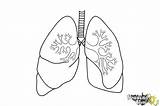 Lung Coloring Pages sketch template