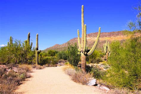 Cheap flights to Phoenix | BudgetAir® Australia