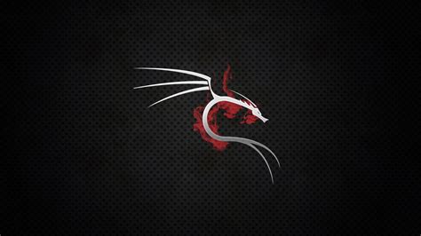 Kali Linux Wallpaper 4k Pc