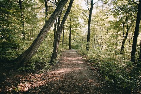 Top 7 Best Hiking Trails in Austin — CrossFit Central