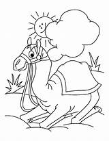 Cute Camel Coloring Page For Kids sketch template