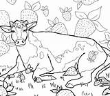 Strawberry Cow Downloadable Coloring Page  Etsy sketch template