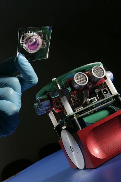 Rise Of The Bio-Brained Robots | Science 2.0