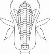Corn On The Cob Coloring Page sketch template