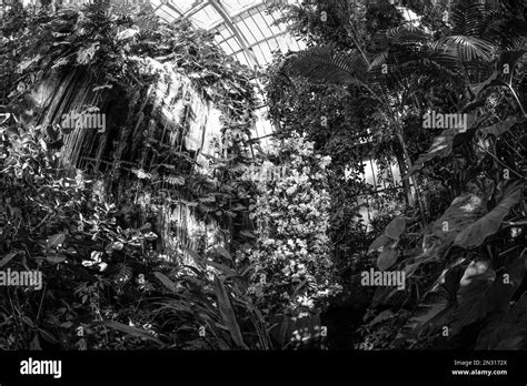 Muséum national dhistoire naturelle Black and White Stock Photos & Images - Alamy