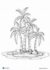 19 palm tree coloring pages  ESL Vault sketch template