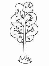 Trees coloring Pages  Printable For Kids sketch template