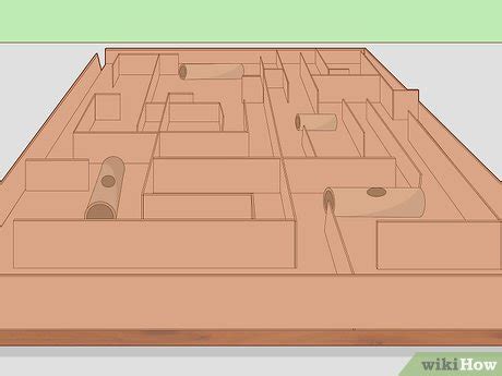 How to Build a Hamster Maze (with Pictures) - wikiHow