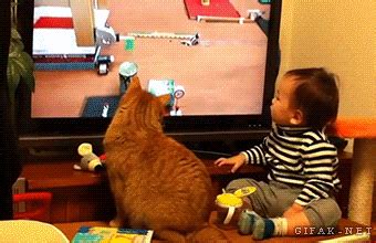 Cat And Baby Watching Tv Pictures, Photos, and Images for Facebook ...