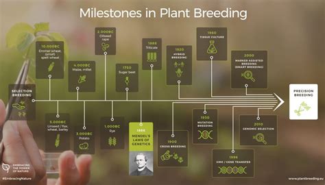 Plant Breeding Evolution milestones