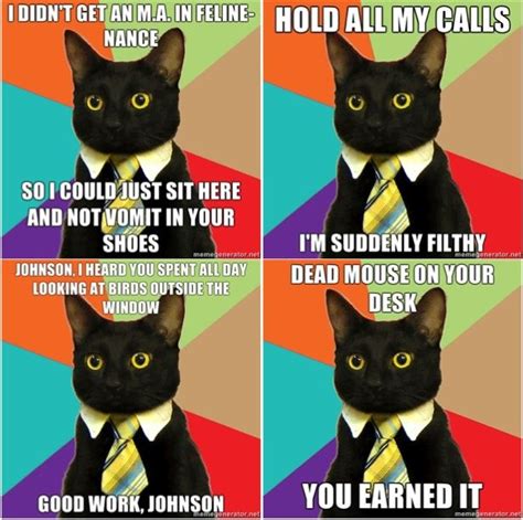 four pictures of a black cat wearing a tie and saying, you've got a kitten