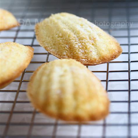 Madeleine | Madeleine Recipe | Petite Madeleine