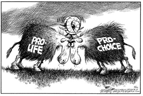Lost in the Bozone: Pro-Life vs Pro-Choice