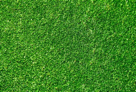 Free Green Grass Background , [100+] Green Grass Background s for FREE ...