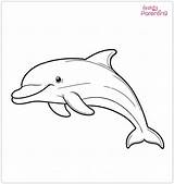 25 Dolphin Coloring Pages  Free Printable Sheets And Images For Kids sketch template