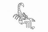 Scorpio Zodiac Sign Coloring Page SVG Cut  By Creative Fabrica sketch template