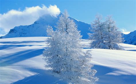 Beautiful Wallpapers: Snowfall Wallpaper