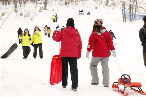 Sapporo Wonderland Sapporo Snow Park Half-day Tour｜Including Genghis ...