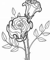 Free Printable Roses Coloring Pages For Kids sketch template