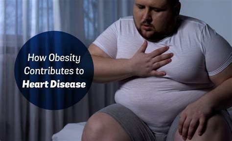 How Obesity Contributes to Heart Disease | by HopeObesityCentre | Medium