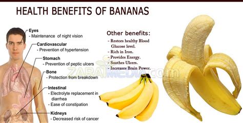 Banana benefits for men | Breadfruit Benefits