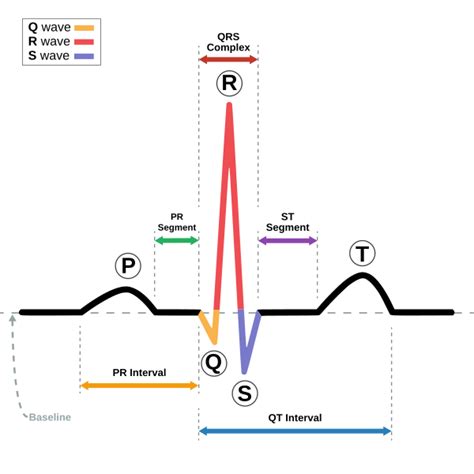 Sinus ritme - Sinus rhythm - abcdef.wiki