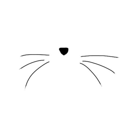 Cat Whiskers Png Download - Whiskers Clipart Black And White PNG - Clip Art Library