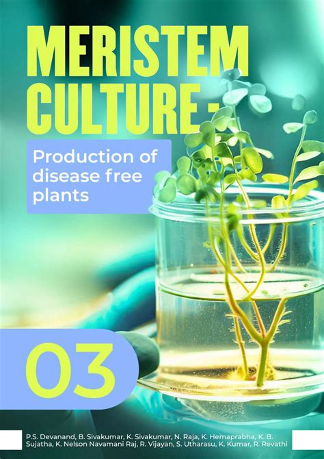 Meristem culture — Production of diseases free plants