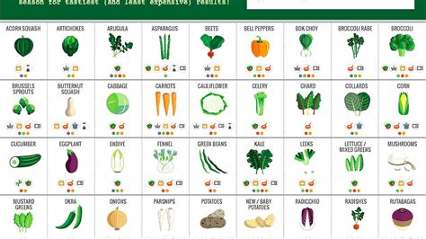 Cruciferous vegetables - Vegetable List - Vege Choices