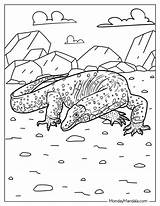 Monitor Coloring Lizard Varano Goanna Waran Ausmalbild Kleurplaten  sketch template