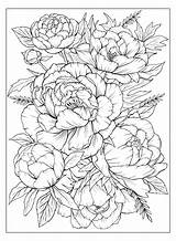 Coloring Page With peonies And Leaves Vector For coloring Flower  sketch template