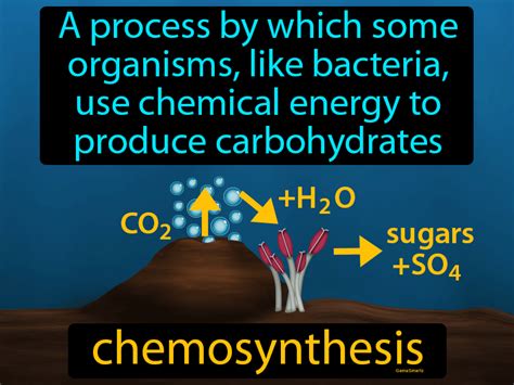 Chemosynthesis Definition & Image | GameSmartz