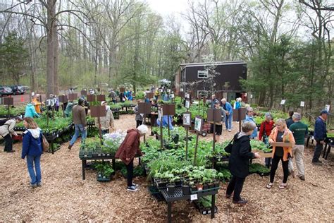 Native Plant Nursery – Bowman's Hill Wildflower Preserve