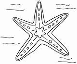 Printable Starfish Coloring Page sketch template