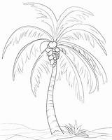 Palm Tree Coloring Pages Relax And Unwind With Tropical Paradise  sketch template