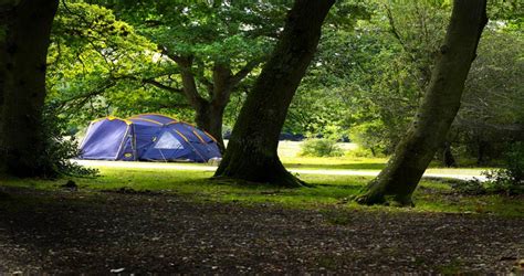 New Forest Camping Sites Open - camping fire cook