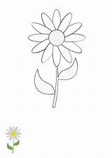 Free Daisy Flower Coloring Page Template To Edit Online sketch template