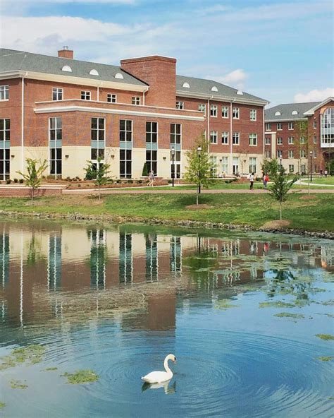 Elon University: Colonnades Housing - Spillman Farmer Architects