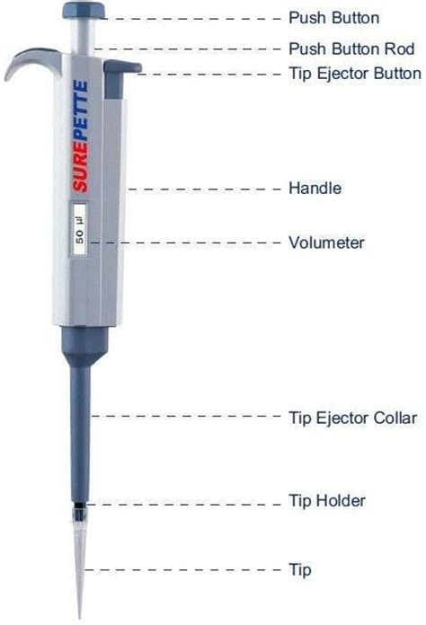 Pipette Parts | Medical laboratory technician, Medical laboratory science, Medical laboratory