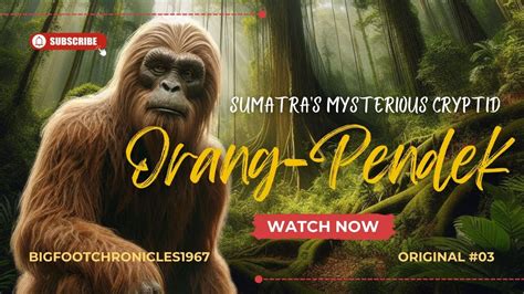 Orang-Pendek: Sumatra's Mysterious Cryptid - Original Documentary Production #cryptozoology ...
