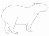 A Capybara Tracing coloring page  Download Print Or Color Online For Free sketch template