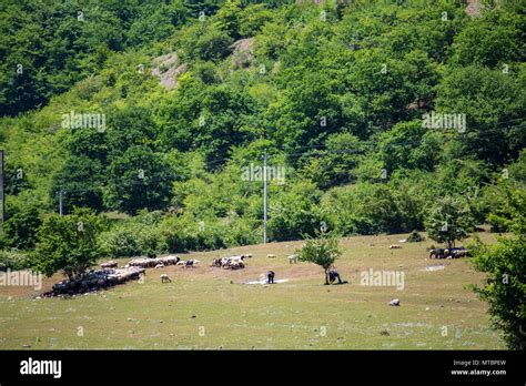 Azerbaijan Nature. Beautiful places Stock Photo - Alamy